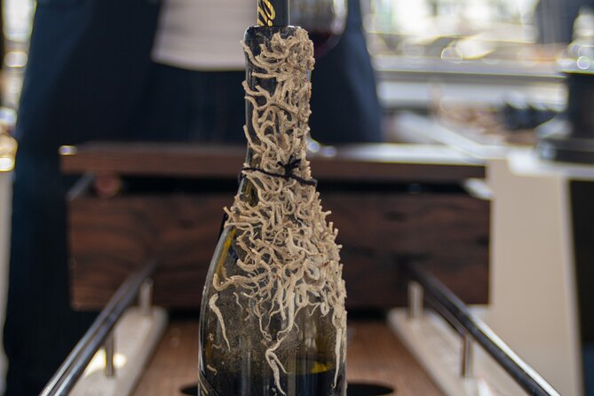 Sailing Tour and Tasting of Submarine wines on board - Boarding at Marina Vela, and how the 2-hour schedule holds up