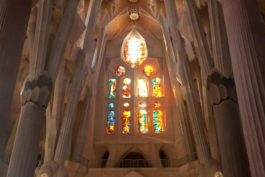 Small-Group Sagrada Familia Fully Guided Tour - Tree-like columns and stained glass that turns your photos into evidence