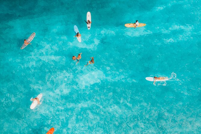 Sunset Sunrise or Full Moon Paddle Surf Experience - Club Patí Vela Barcelona to the Waterline: Where Your Session Starts