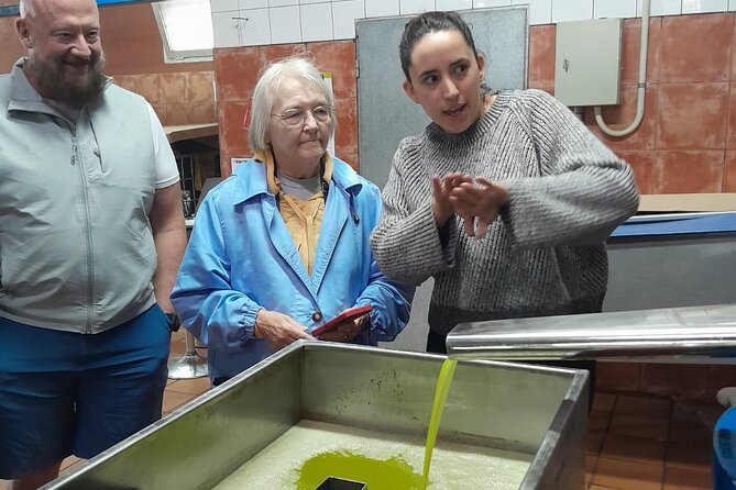 Tarragona Culinary Experience: Olive Oil & Iberian Ham Delight - Lunch stop: Iberian ham and cheese in a traditional Spanish bar