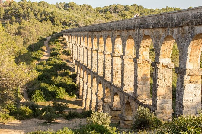 Tarragona Culinary Experience: Olive Oil & Iberian Ham Delight - Should you book it? Who this fits best