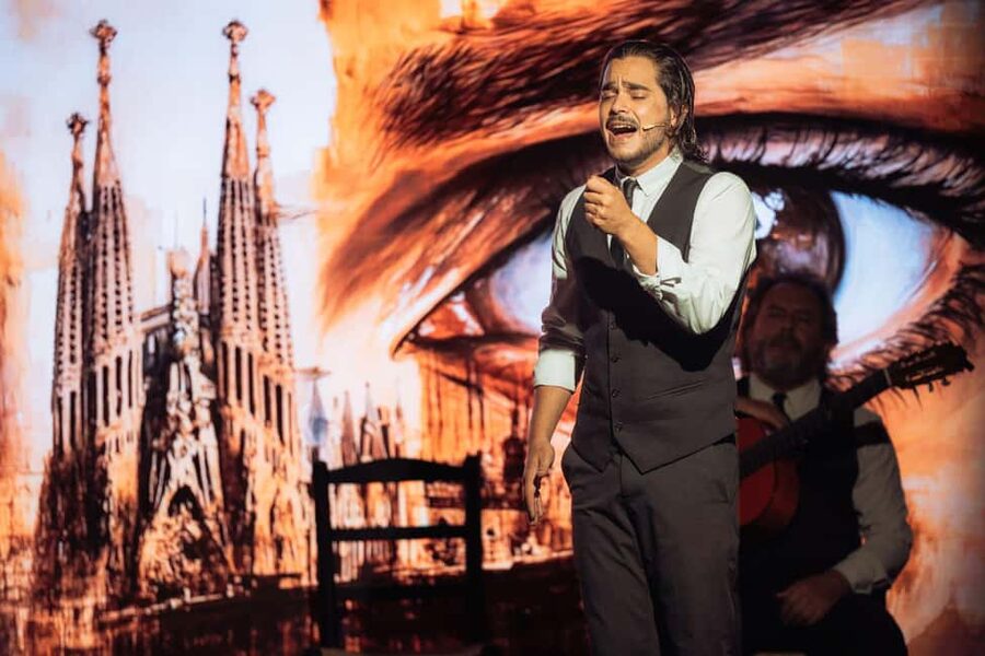 Teatro Flamenco Barcelona: Authentic Live Flamenco Show - The staff vibe, from friendly helpers to quick fixes