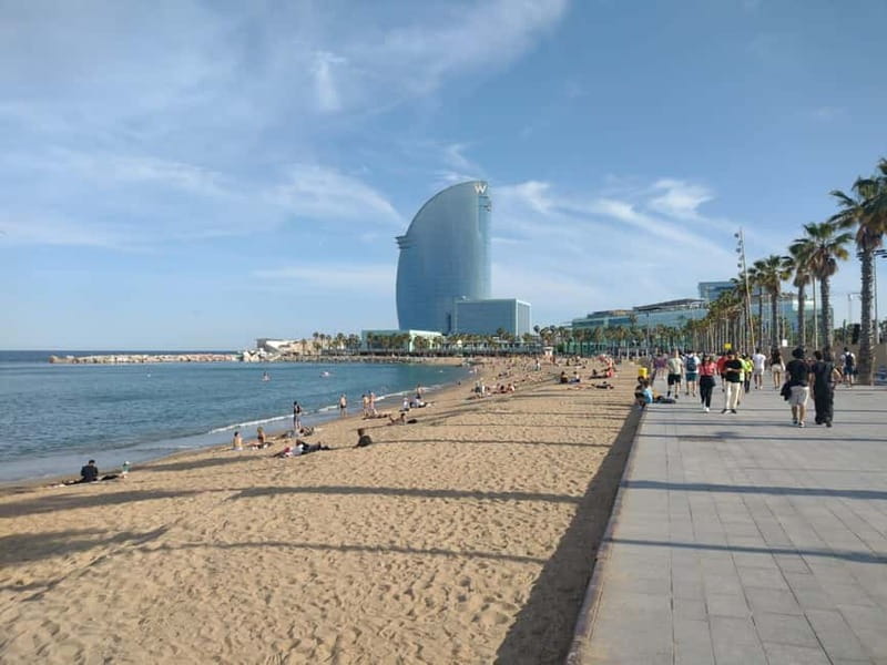 Tour of Barceloneta and the Citadel Park - Barceloneta district: maritime Barcelona and how it changed after the Olympics