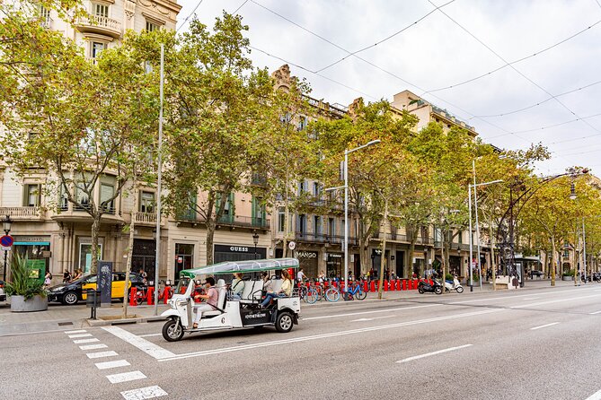 Tour Welcome Barcelona with Local Guide in Eco Tuk Tuk Private - Montjuïc, the Old Port, and the Arc de Triomf: bigger views, different Barcelona