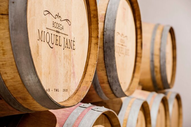 Viticulture and Wine-Tasting 3-Hour Trip from Barcelona - Key takeaways before you go