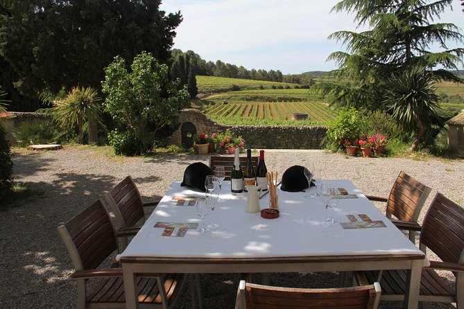 Wine & Cava Penedes Tour: Wineries, Wine Tasting and Tapas - Key Highlights Worth Planning Around