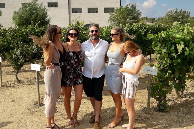 Wine & Cava Penedes Tour: Wineries, Wine Tasting and Tapas - Lunch at a Wine Cellar: How the Tapas Part Changes the Day