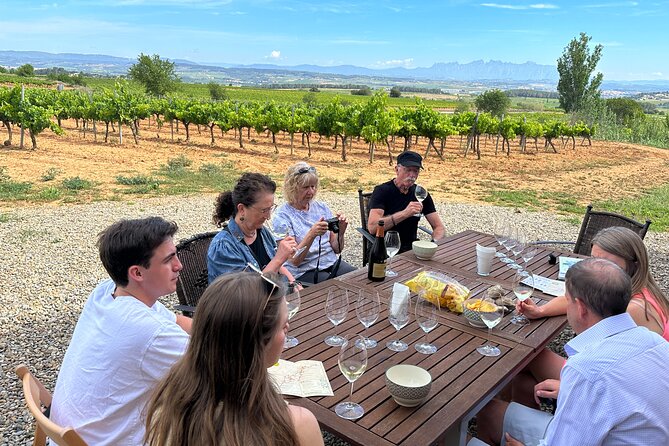 Wine Tasting in Three Boutique Wineries Tour - Max 8 people - Key highlights I’d put on your must-do list