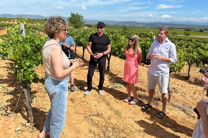 Wine Tasting in Three Boutique Wineries Tour - Max 8 people - Pares Balta at 3:30, organic and bio-dynamic philosophy plus olive oil tasting