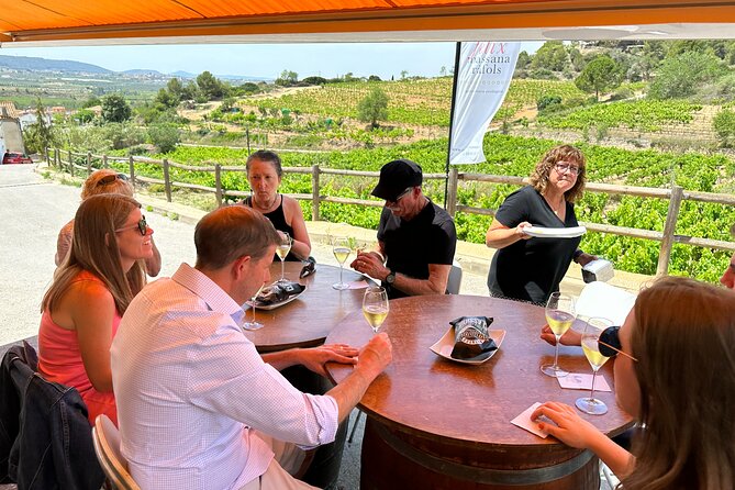 Wine Tasting in Three Boutique Wineries Tour - Max 8 people - The tastings: why multiple stops beat one big cellar tour
