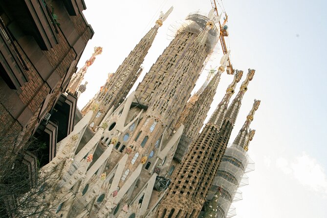 Wine tasting with a view of the Sagrada Familia - Small Group Size and English Guidance