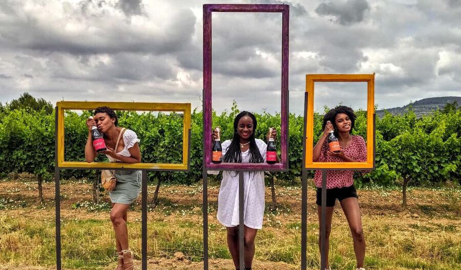 Your Cava, Your Story – Wine workshop experience at Artcava - Key highlights to know before you go