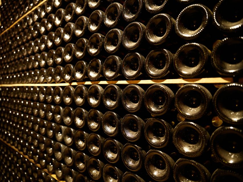 Your Cava, Your Story – Wine workshop experience at Artcava - How the 3-hour schedule actually feels